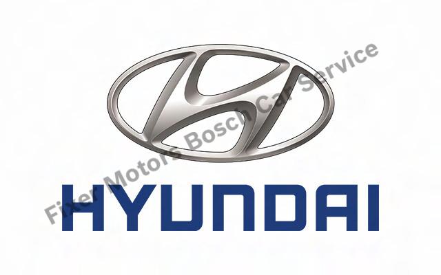 Kağıthane Hyundai Servisi