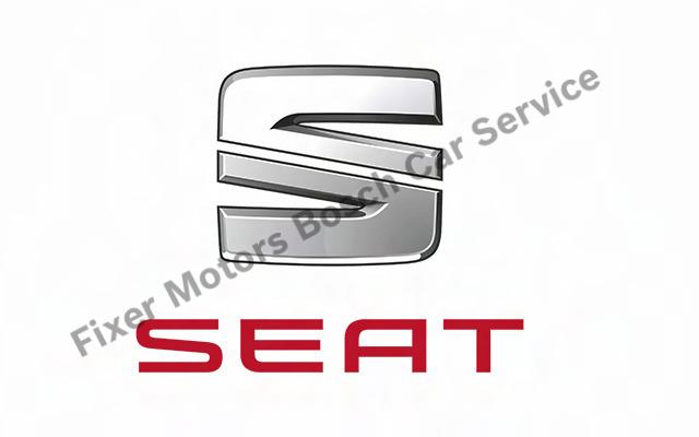 Kağıthane Seat Servisi